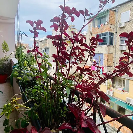 招待所 Apartment 地拉那